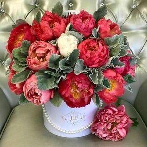 Meet your Posher, Lilly